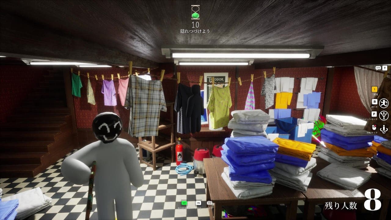 MECCHA CHAMELEON — The laundry